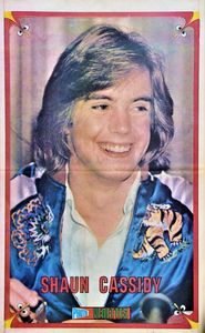 Shaun Cassidy