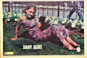 Dany Aubé