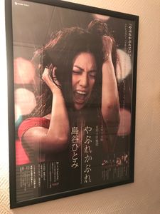 Yaburekabure (やぶれかぶれ)