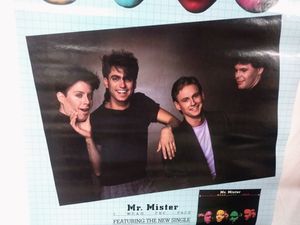 Mr. Mister I Wear The Face