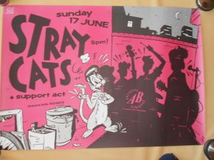 stray cats