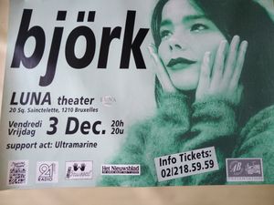 Bjork