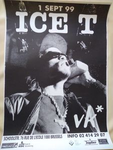 Ice-T