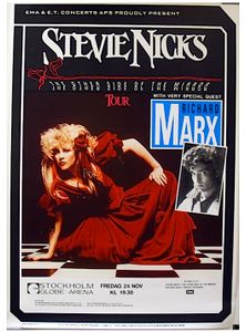 Stevie Nicks