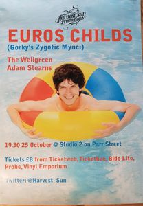 Euros Childs Liverpool 2012