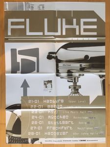 Fluke