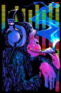 Funky Monkey