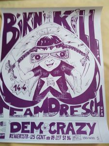 Bikini Kill  /  Team Dresch