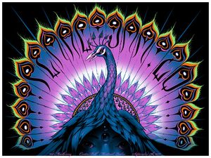 Pearl Jam Montreal 2011 (Show Edition)