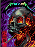 Metallica Amsterdam 2017 (Night 1)