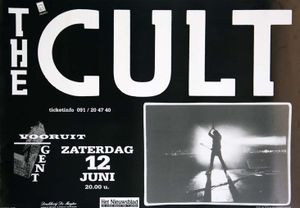 The Cult 