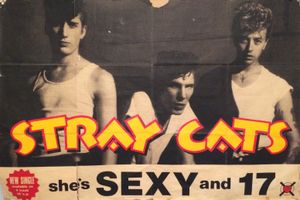 STRAY CATS