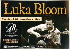 Luka Bloom