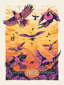 Phish Raleigh 2015