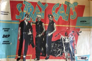 Stray Cats