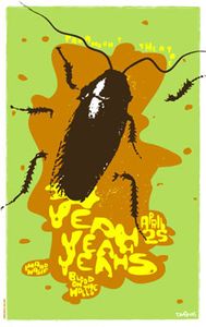 Yeah Yeah Yeahs Seattle 2006