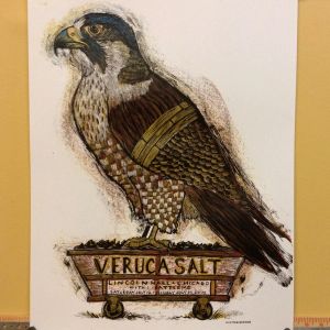 Veruca Salt Chicago 2014