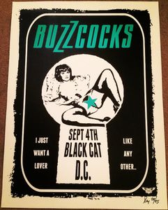 The Buzzcocks - The Black Cat, DC - September 4, 2014