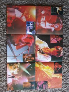 Vintage Large Eagles Poster 