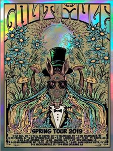Gov't Mule Spring Tour 2019