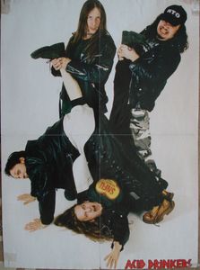 Fear Factory / Acid Drinkers