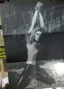David Lee Roth