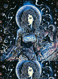311 Denver 2019