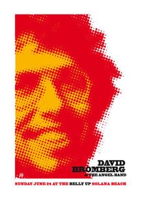 David Bromberg and the Angel Band Solana Beach 2007