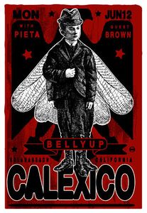 Calexico Solana Beach 2006