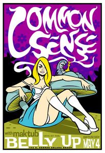 Common Sense Solana Beach 2002