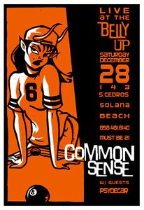 Common Sense Solana Beach 2002