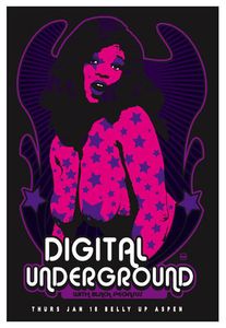 Digital Underground Aspen 2007