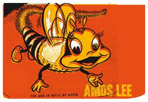 Amos Lee Aspen 2007