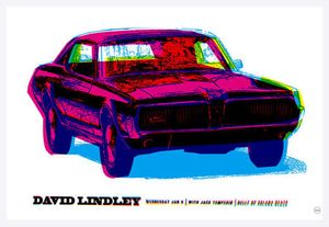 David Lindley Solana Beach 2008