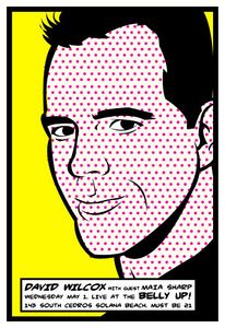 David Wilcox Solana Beach 2002
