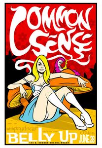 Common Sense Solana Beach 2002