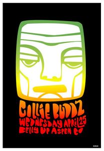 Collie Buddz Aspen 2010
