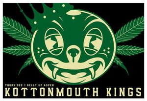 Kottonmouth Kings Aspen 2011