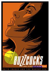 Buzzcocks Solana Beach 2012