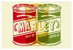 Stephen Marley Aspen 2012