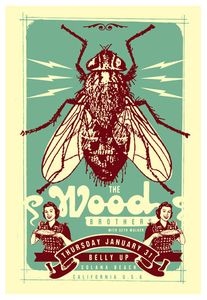Wood Brothers Solana Beach 2013