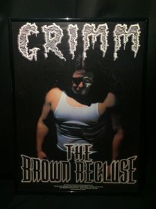 Grimm: The Brown Recluse