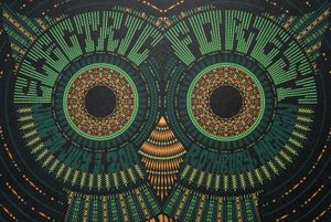 Electric Forest Festival Rothburry 2011