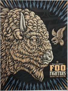 Foo Fighters Seattle 2017