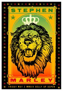 Stephen Marley Aspen 2014