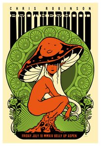 Chris Robinson Brotherhood Aspen 2014