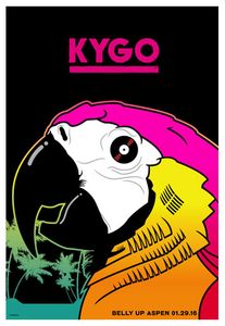 Kygo Aspen 2016