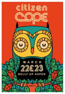 Citizen Cope Aspen 2016