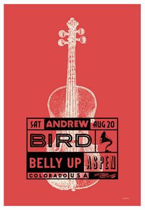 Andrew Bird Aspen 2016