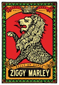 Ziggy Marley Aspen 2016